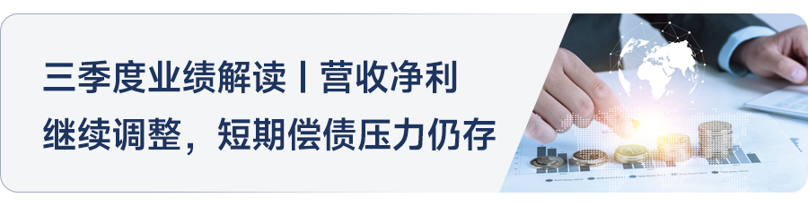 2024年1-11月西安房地产企业销售业绩排行榜