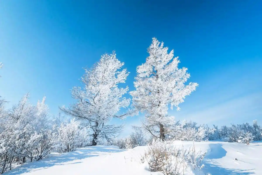 夜读｜冷，是一种味道